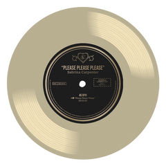 Please Please Please - Sabrina Carpenter Vinyl Record Art, Gold Vinyl Wall Art, Music Lover Wall Decor, Pop Music Art, Instant Download