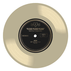Please Please Please - Sabrina Carpenter Vinyl Record Art, Gold Vinyl Wall Art, Music Lover Wall Decor, Pop Music Art, Instant Download